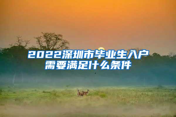 2022深圳市毕业生入户需要满足什么条件