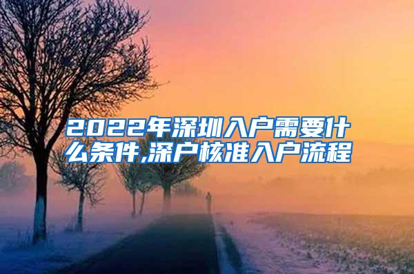 2022年深圳入户需要什么条件,深户核准入户流程