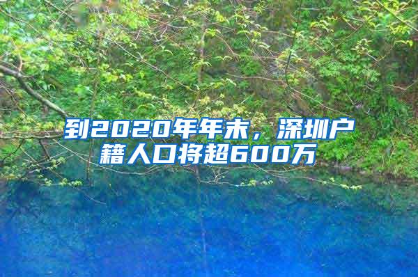 到2020年年末，深圳户籍人口将超600万