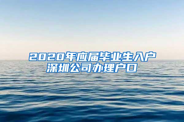 2020年应届毕业生入户深圳公司办理户口