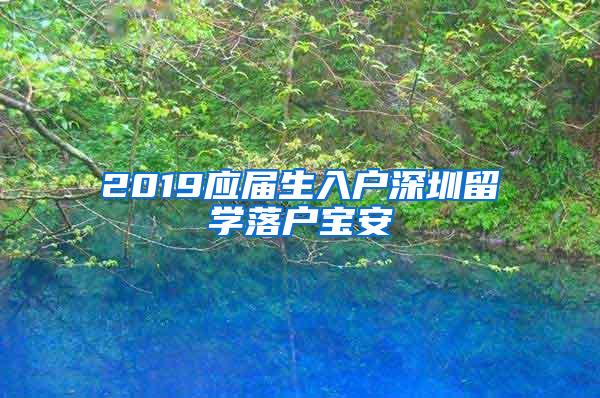 2019应届生入户深圳留学落户宝安