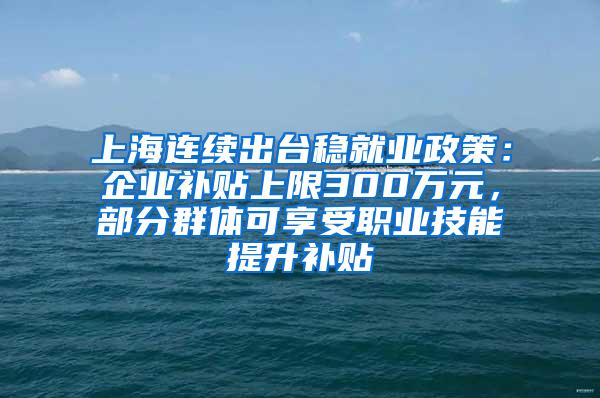 上海连续出台稳就业政策：企业补贴上限300万元，部分群体可享受职业技能提升补贴