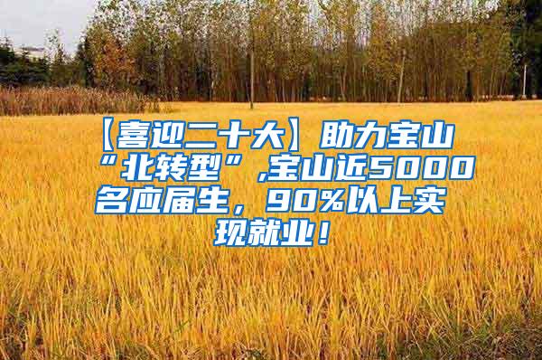 【喜迎二十大】助力宝山“北转型”,宝山近5000名应届生，90%以上实现就业！