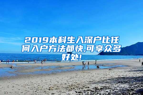 2019本科生入深户比任何入户方法都快,可享众多好处!