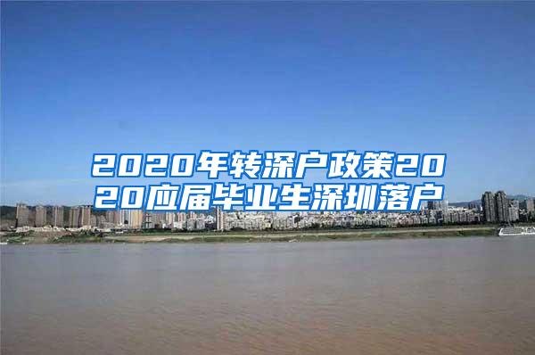 2020年转深户政策2020应届毕业生深圳落户