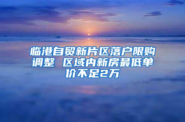 临港自贸新片区落户限购调整 区域内新房最低单价不足2万