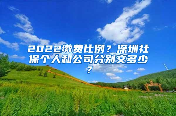 2022缴费比例？深圳社保个人和公司分别交多少？