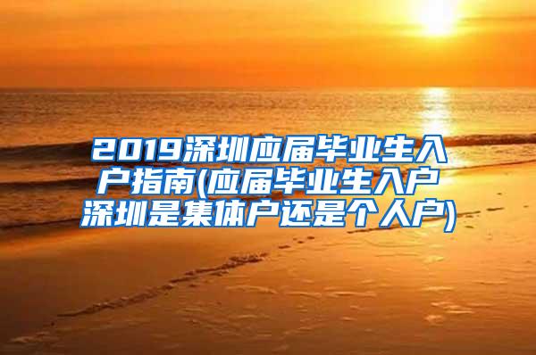 2019深圳应届毕业生入户指南(应届毕业生入户深圳是集体户还是个人户)