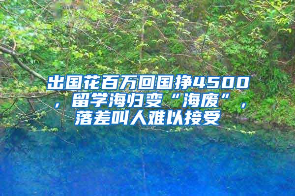 出国花百万回国挣4500，留学海归变“海废”，落差叫人难以接受