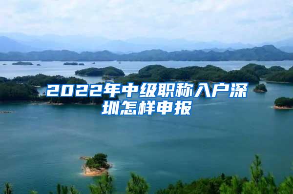 2022年中级职称入户深圳怎样申报