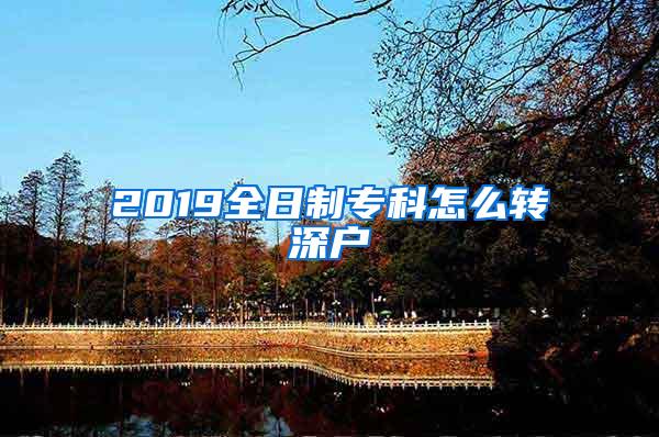 2019全日制专科怎么转深户