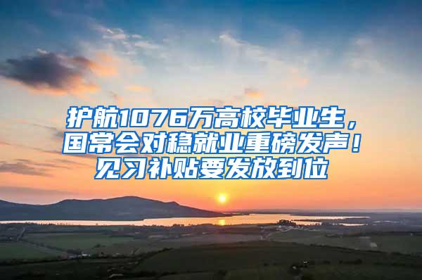 护航1076万高校毕业生，国常会对稳就业重磅发声！见习补贴要发放到位