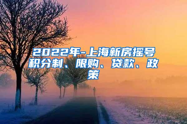 2022年-上海新房摇号积分制、限购、贷款、政策