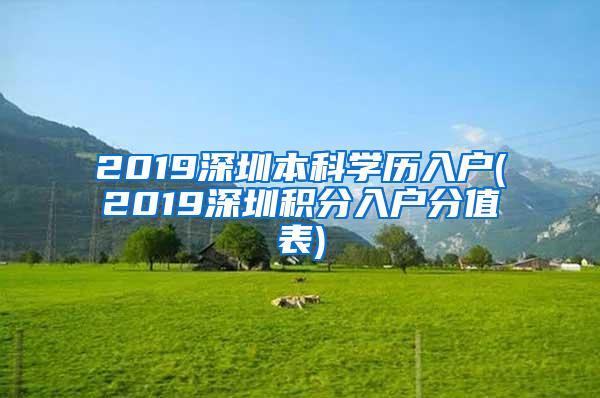 2019深圳本科学历入户(2019深圳积分入户分值表)