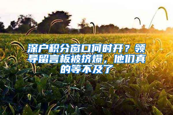 深户积分窗口何时开？领导留言板被挤爆，他们真的等不及了