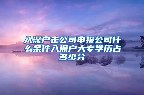 入深户走公司申报公司什么条件入深户大专学历占多少分