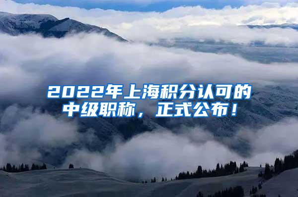 2022年上海积分认可的中级职称，正式公布！