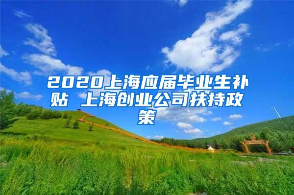 2020上海应届毕业生补贴 上海创业公司扶持政策