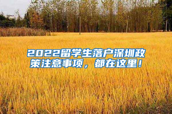 2022留学生落户深圳政策注意事项，都在这里！