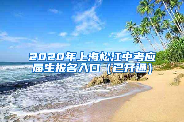 2020年上海松江中考应届生报名入口（已开通）