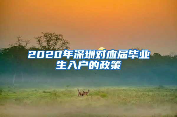 2020年深圳对应届毕业生入户的政策