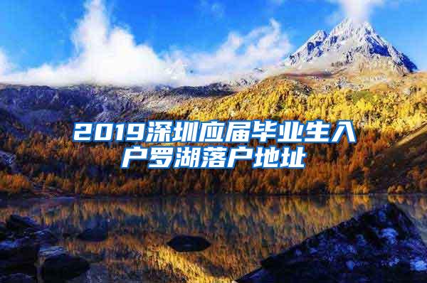 2019深圳应届毕业生入户罗湖落户地址