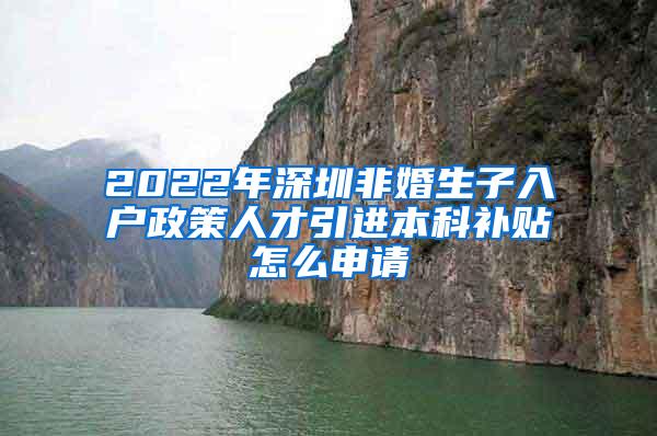 2022年深圳非婚生子入户政策人才引进本科补贴怎么申请