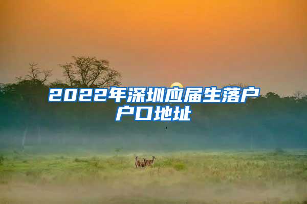 2022年深圳应届生落户户口地址