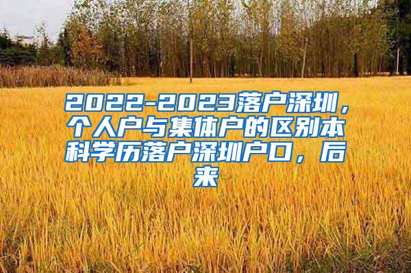 2022-2023落户深圳，个人户与集体户的区别本科学历落户深圳户口，后来