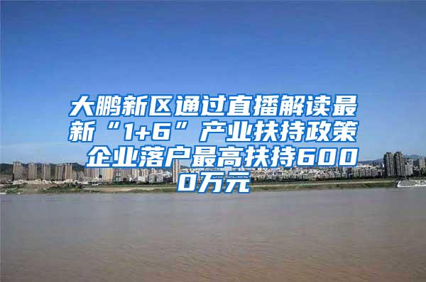 大鹏新区通过直播解读最新“1+6”产业扶持政策 企业落户最高扶持6000万元