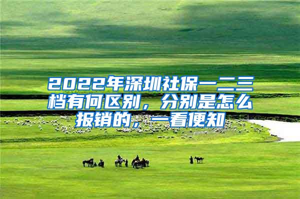 2022年深圳社保一二三档有何区别，分别是怎么报销的，一看便知