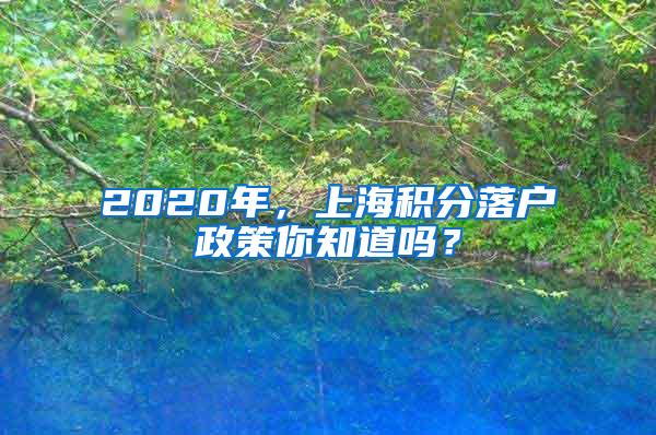 2020年，上海积分落户政策你知道吗？