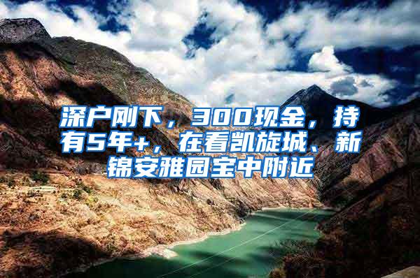 深户刚下，300现金，持有5年+，在看凯旋城、新锦安雅园宝中附近