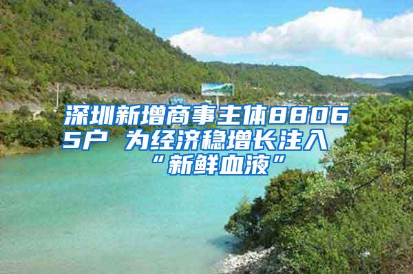 深圳新增商事主体88065户 为经济稳增长注入“新鲜血液”