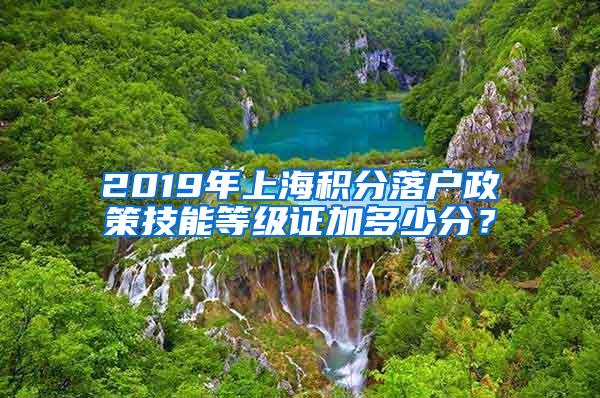 2019年上海积分落户政策技能等级证加多少分？