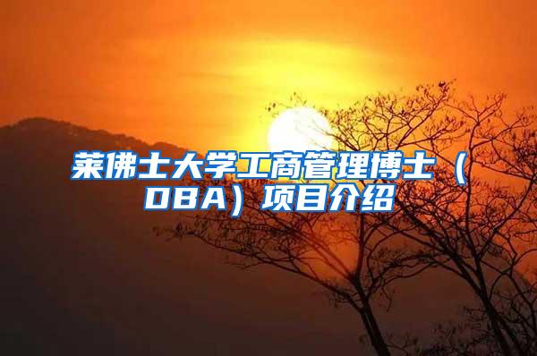 莱佛士大学工商管理博士（DBA）项目介绍