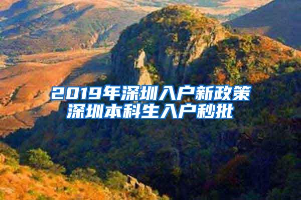 2019年深圳入户新政策深圳本科生入户秒批