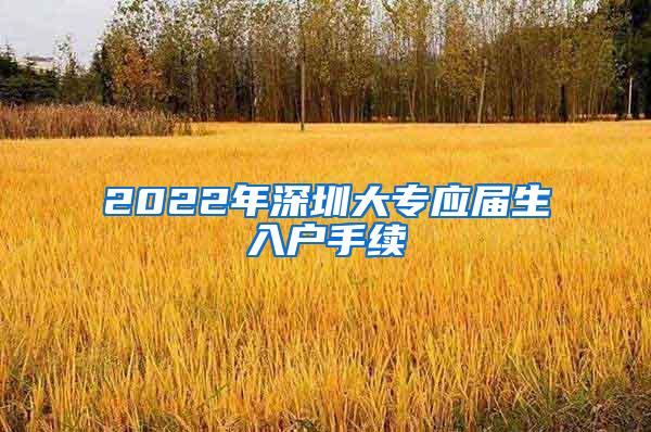 2022年深圳大专应届生入户手续