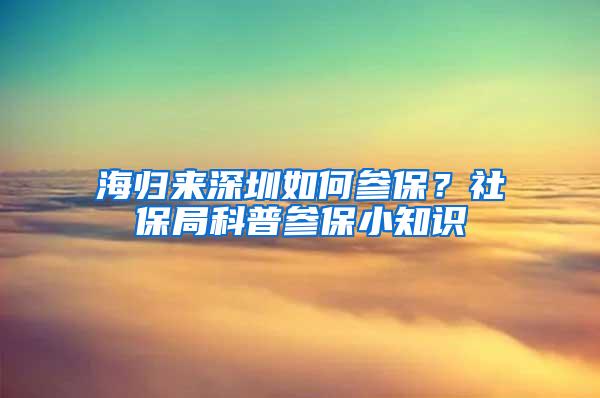 海归来深圳如何参保？社保局科普参保小知识