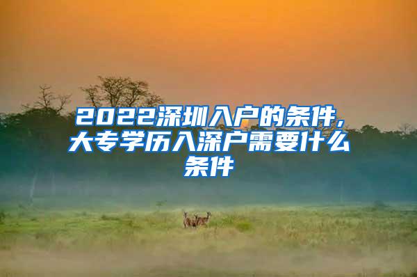 2022深圳入户的条件,大专学历入深户需要什么条件