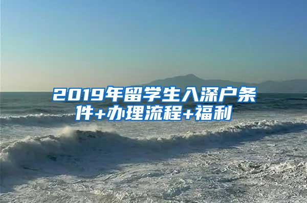 2019年留学生入深户条件+办理流程+福利