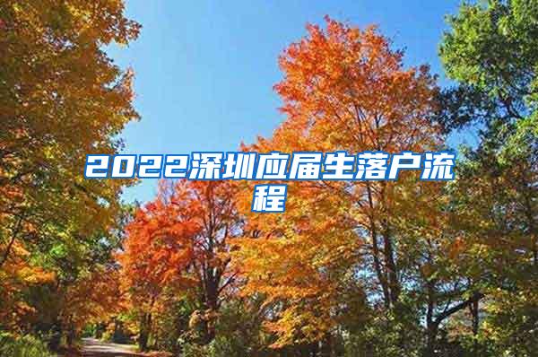 2022深圳应届生落户流程