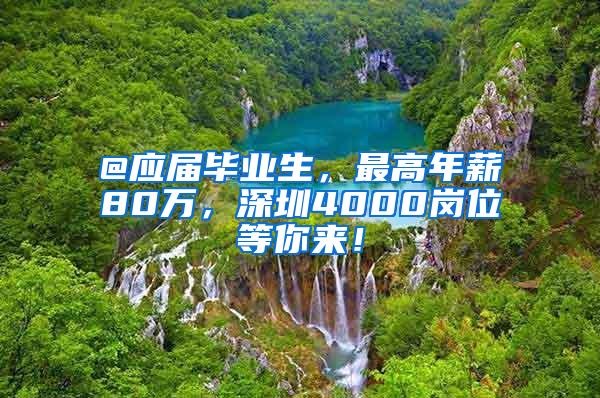 @应届毕业生，最高年薪80万，深圳4000岗位等你来！