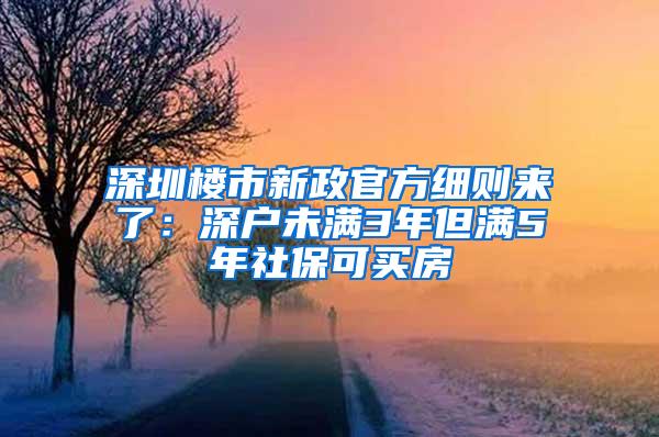 深圳楼市新政官方细则来了：深户未满3年但满5年社保可买房