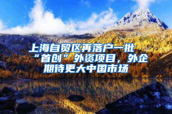 上海自贸区再落户一批“首创”外资项目，外企期待更大中国市场