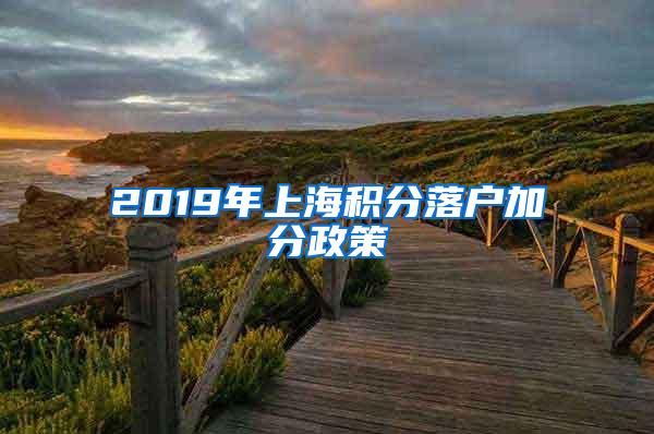 2019年上海积分落户加分政策