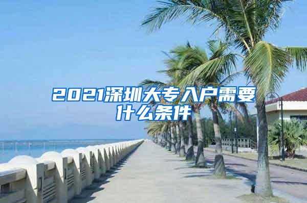 2021深圳大专入户需要什么条件