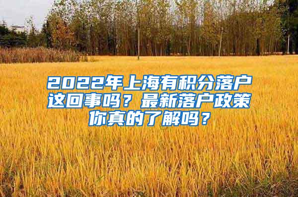 2022年上海有积分落户这回事吗？最新落户政策你真的了解吗？