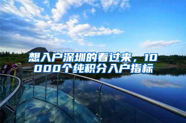 想入户深圳的看过来，10000个纯积分入户指标