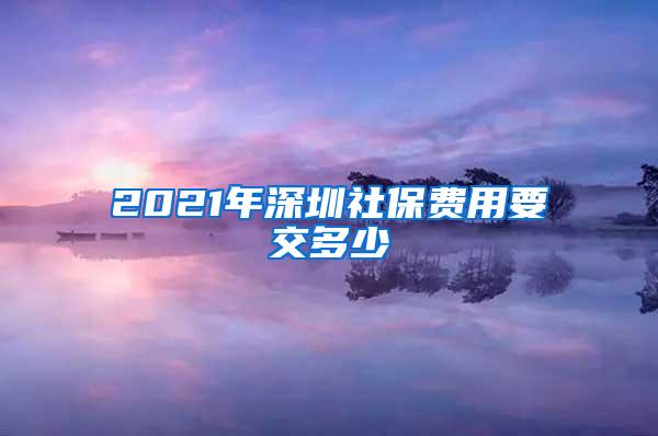 2021年深圳社保费用要交多少